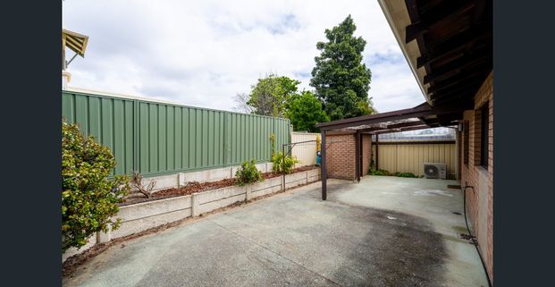 Next Level Norton Street - Photo 1