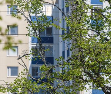 Linköpingsvägen 14, Kneippen - Photo 4