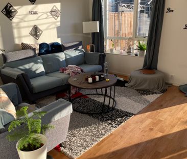 Begoniaslingan, Bro - Foto 5