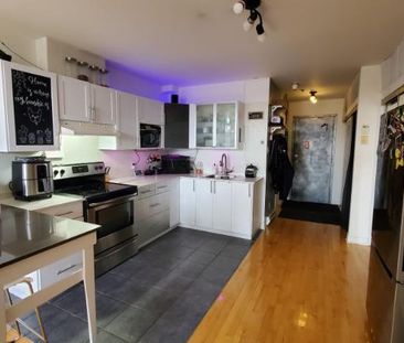 1 1/2 - Montréal (Hochelaga / Maisonneuve) - $1 300 /mois - Photo 1