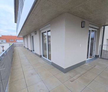 Neuwertige, geförderte 4 Zimmer-Wohnung mit großer TERRASSE in Egge... - Photo 4