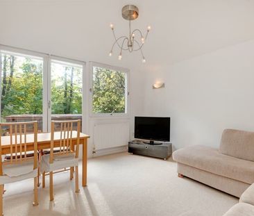 2 Bedroom House To Let - Photo 5