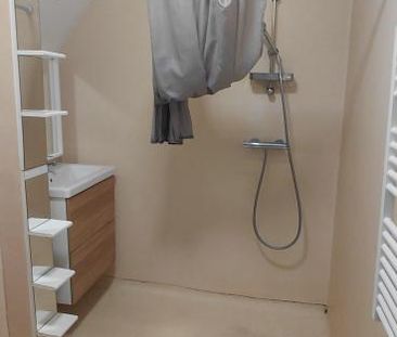 Location Appartement 1 pièce 24m² ANGERS 49100 - Photo 5
