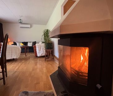 På landet mitt i stan - Foto 2