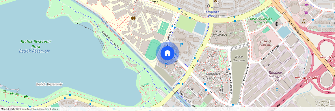 956B Tampines Street 96 (522956), Singapore