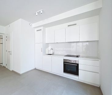 Superb new one-bedroom apartment with terrace - Photo 5