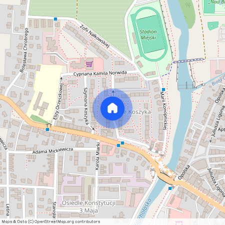 Szymona Koszyka, Głuchołazy