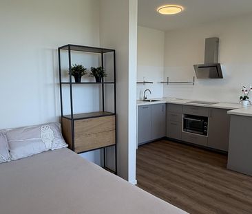 Pronájem bytu 1+kk a garsoniéry 38 m², Arnošta Valenty , Praha - Photo 4