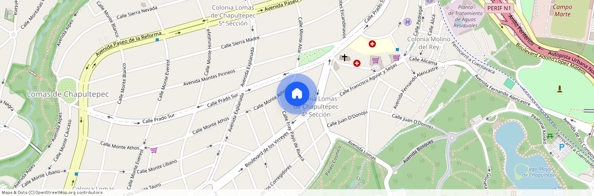 Avenida Antonio de Mendoza, Lomas de Chapultepec, 11000 Mexico City, CMX, Mexico