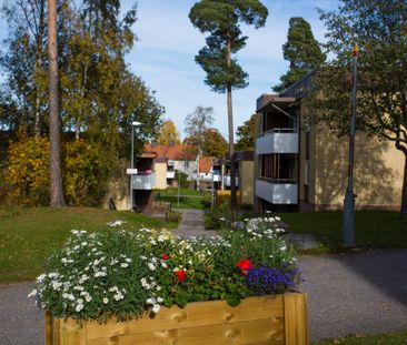 Holmsundsallén, Gävle - Photo 2