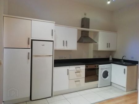 80 Eglantine Avenue, Belfast, BT9 6EU - Photo 2