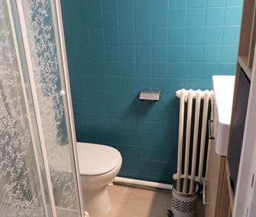 Location Appartement 1 pièce 17m² - Photo 4