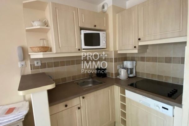 A LOUER, DOMAINE DE PONT ROYAL , BASTIDE DE TYPE 3 , PISCINE - Photo 1