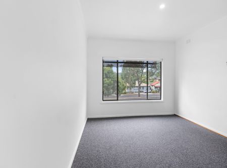 Fresh, Modern Living in a Prime West Albury Location - Photo 3