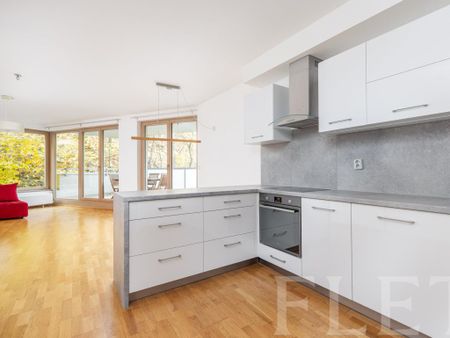 Pronájem bytu 4+kk 117 m2 - Fotografie 4