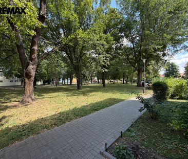 Pronájem bytu 2+1 v osobním vlastnictví 55 m², Slavkov u Brna - Photo 5