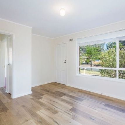 3/74 Tharwa Road, Queanbeyan - Photo 1