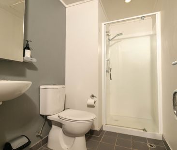 Sunny Furnished Apartment - Photo 1