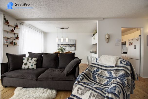 6320-6520 rue du Griffon - Photo 1