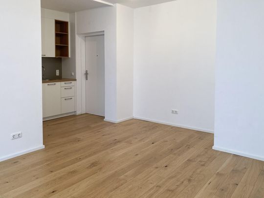 Linz Urfahr | 22m² Micro-Apartment | Erdgeschosslage | ab 01.06.2026 verfügbar - Foto 1