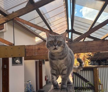 Marrickville - Photo 1