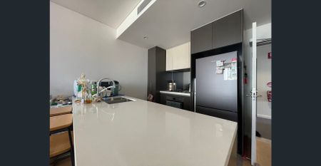 One bed room APT for the rent - Photo 4