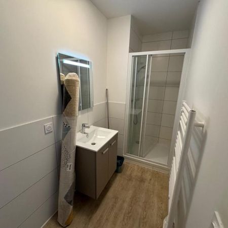 Appartement à louer, 1 pièce - Angers 49000 - Photo 4