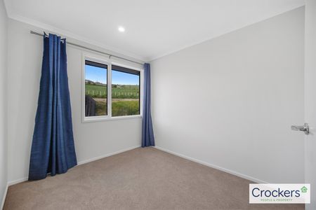 Brand New Lifestyle Home in Helensville - Photo 4