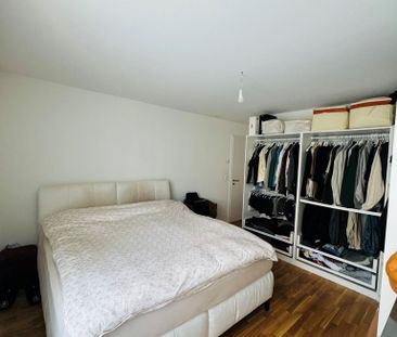 Planches 20 C - Photo 4