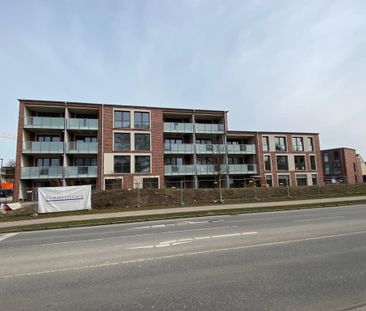 Moderne 3- Zimmer- Erdgeschosswohnung in Neustadt - Foto 6