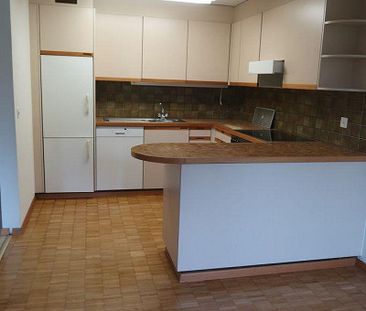 Ruhige Wohnlage am Stadtrand von Arbon - Foto 1