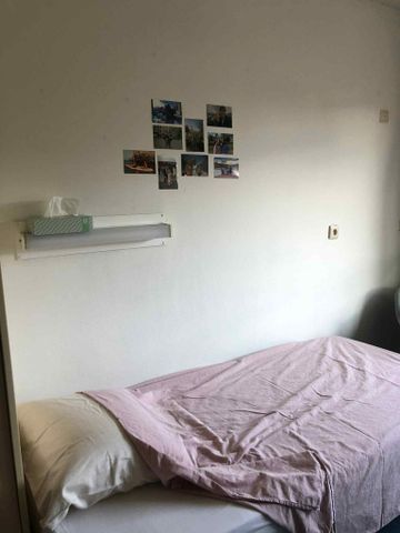 — Stalhof - Photo 3