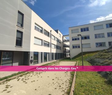 Location Appartement 1 pièce 19m² AUZEVILLE TOLOSANE 31320 - Photo 4