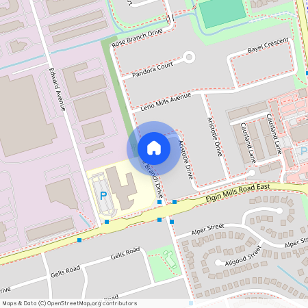 39 Rose Branch Drive, Richmond Hill