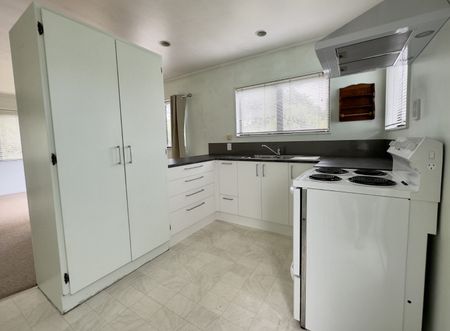 Tidy Unit on Otaika Road - Photo 3
