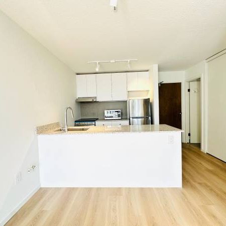 Newly Reno 1 Bed 1 Bath Apartment @ Downtown Vancouver for Rent! - Photo 3