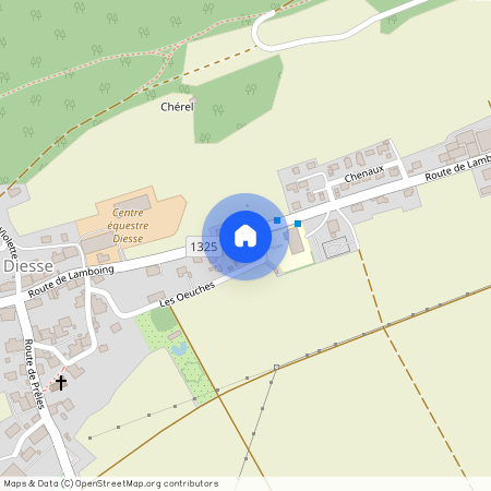 2517, Diesse, Route De Lamboing, 26