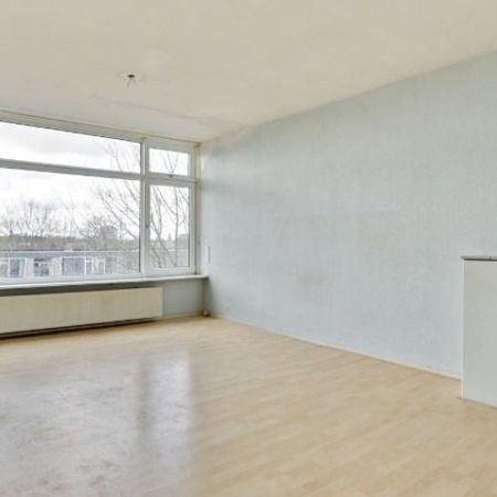 Tobias Asserlaan, 5042 PD Tilburg, Nederland - Photo 4