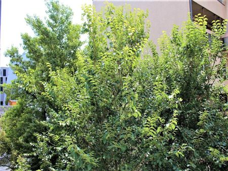 UHLANDGASSE, U1-Nähe, 64 m2 Neubau mit 3 m2 Balkon, 2 Zimmer, 2er-WG-geeignet, Wohnküche, Duschbad, 3. Liftstock - Foto 3