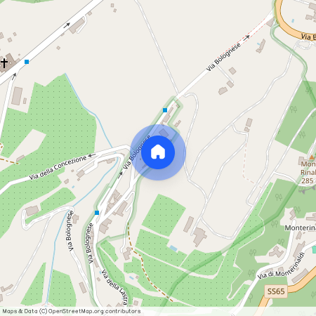 Via dello Spedaluzzo della Ruota, Florence, Tuscany 50139