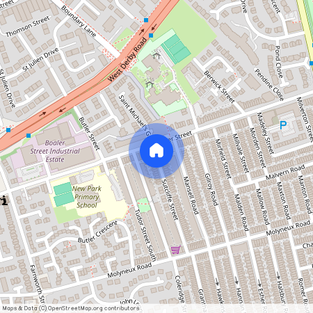 Sutcliffe Street, L6 6AS