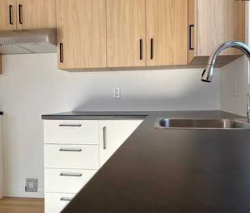 Appartement à louer - Cap-Saint-Ignace - Photo 3