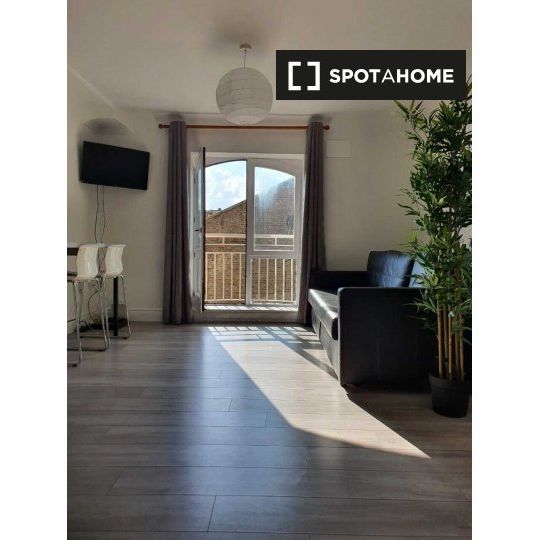 1-bedroom apartment for rent in Saint James Gate, Dublin - Photo 1