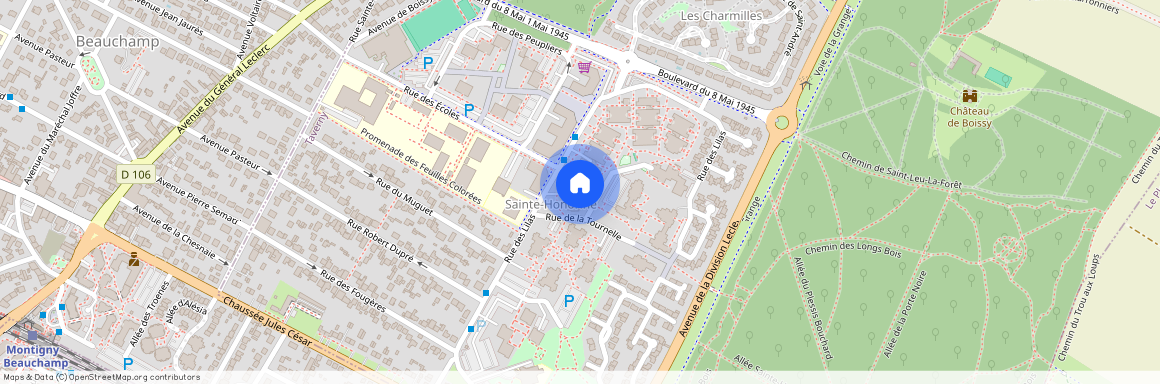 Rue des Lilas, 95150, Taverny