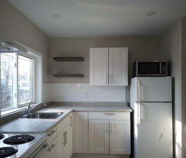 For Lease - 53 Collins Street Unit# #2, Collingwood, Ontario - Photo 5