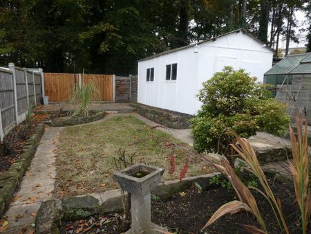 3 bedroom semi-detached house to rent - Photo 3