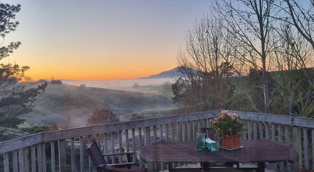 Rural lifestyle, in Pirongia School zone. - Photo 1