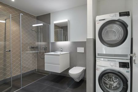 Spiserstrasse 6 , 8047 Zürich - Photo 5