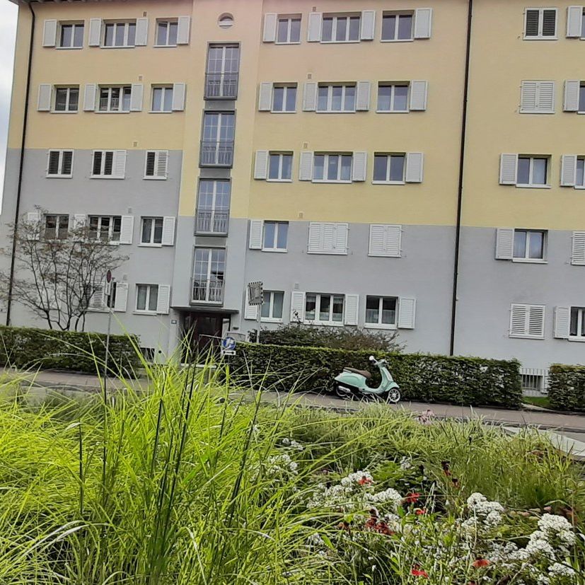 3 Zimmer, 71 m², EG - Photo 1