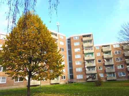 Stop! Günstige 2-Zimmer-Wohnung!!! - Foto 3